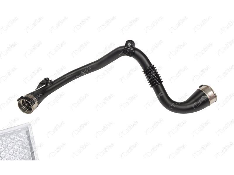 Turbo Borusu Laguna Iii Latitude