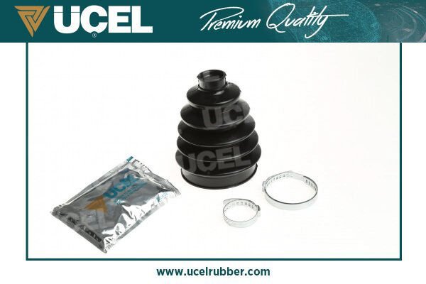 Aks Korugu Dis Master Iii