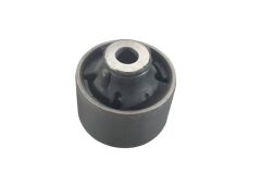 Salincak Burcu Kadjar Qashqai