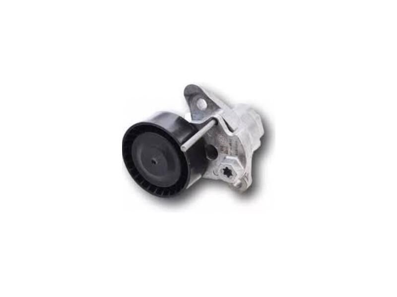 Alternatör Gergi Rulmanı (kutuklu) Golf Passat Polo 1.4 1.5 Tsi