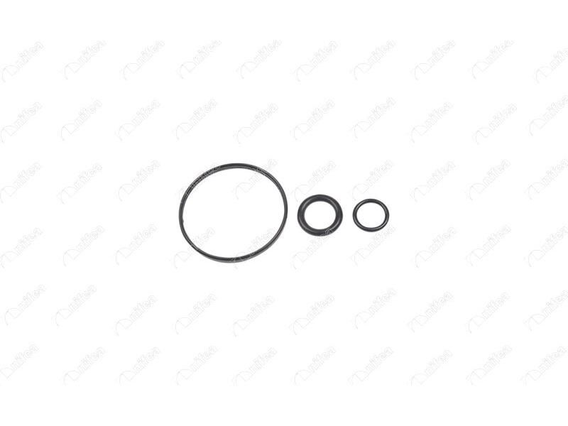 Yag Sogutucu Oring Takimi Megane Ii - Iii Fluence