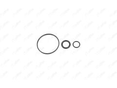 Yag Sogutucu Oring Takimi Megane Ii - Iii Fluence