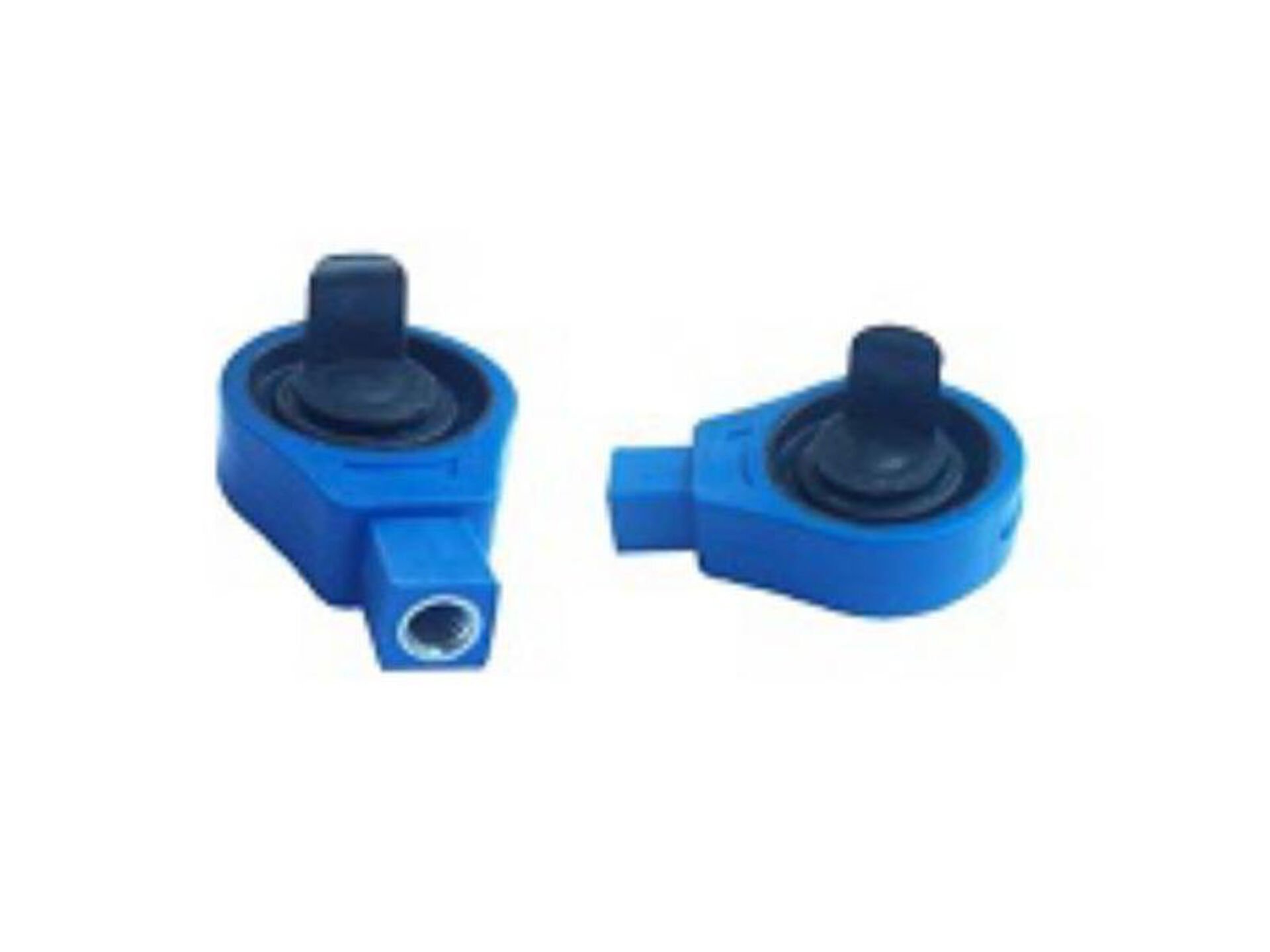 Vites Tel Yuvasi (buyuk)palio Albea Siena