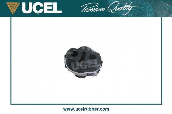 Egzoz Aski Lastigi Arka Megane Iv