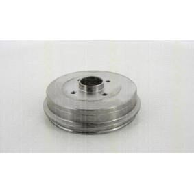 Fren Ampanasi Arka Fren Clio 1.5 DCI K9K