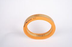 Hava Filtresi R19 Enj - Clio - Flash 1.7