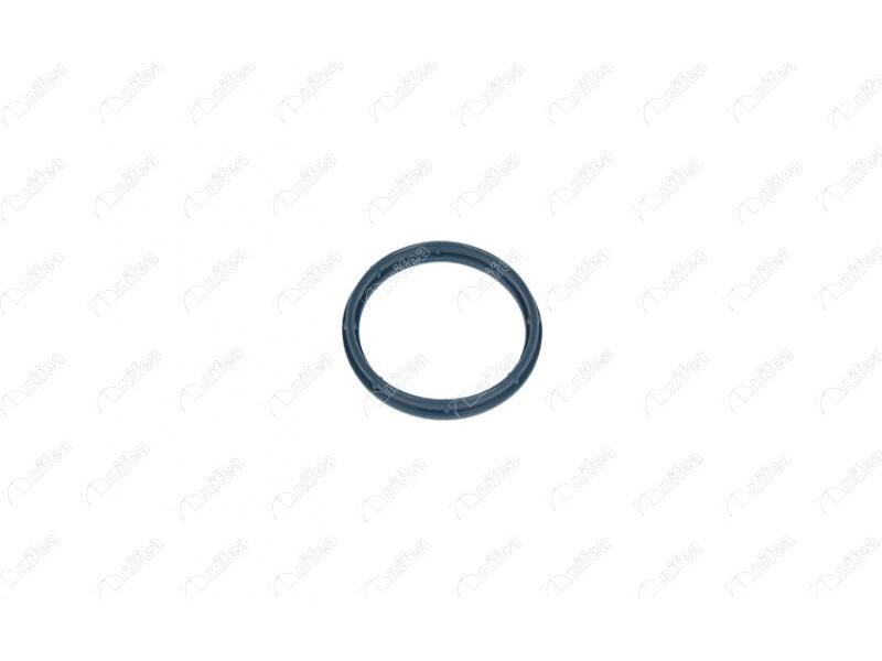 Emme Manifold Contasi Ducato 2.2 D Mondeo Iii Jumper Transit Boxer