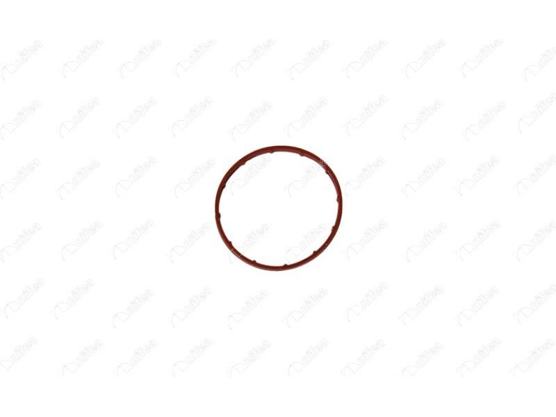 Vakum Pompa Contasi Ducato Ii 2.0 JTD Partner Exp