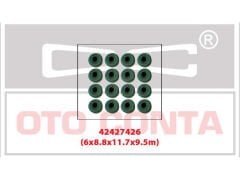 Subap Lastigi ( 6 Mm ) Clio Ii - Iii - Iv - V Fluence Espace Iii - Iv - V Kadjar Kangoo Dokker Trafic ( Vition