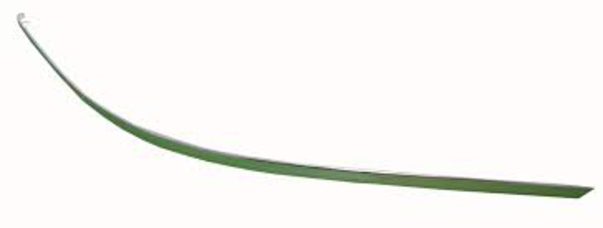 Arka Tampon Citasi Sol Linea (astarli Tip)