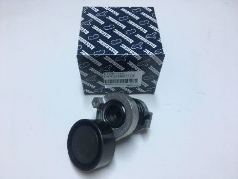 Alternatör Gergi Rulmanı (kutuklu) Clio Iv Megane Iv Dokker Lodgy Clio Iv Megane Iv