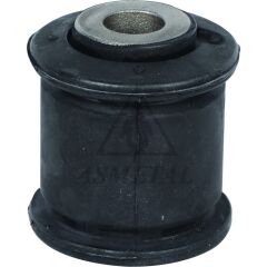 Salincak Burcu Master Iii Movano