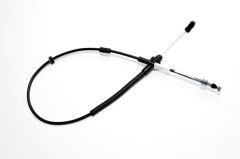 Gaz Teli Palio Siena Weekend 1.2