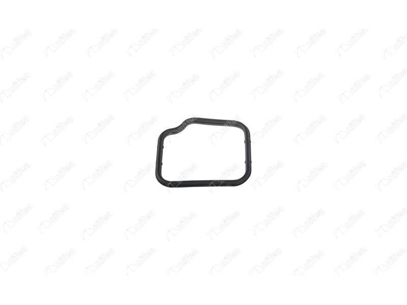 Termostat Govde Contasi Egea Cross Nemo