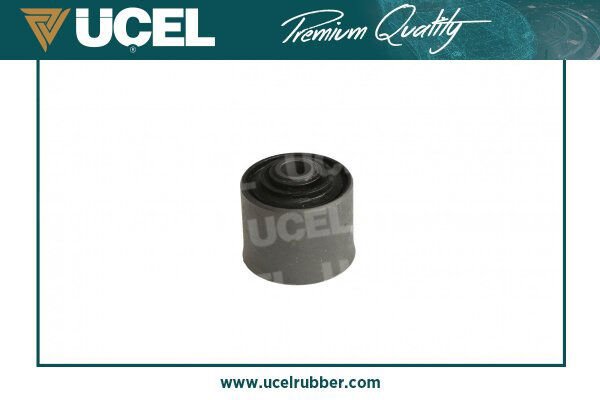 Salincak Burcu R19 Megane I Scenic I