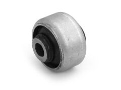 Salincak Burcu (orta) P207 C3