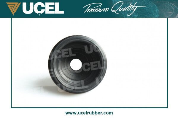 Aks Korugu Dis R19 R21 Txe D. Clio I Trafic I Escape