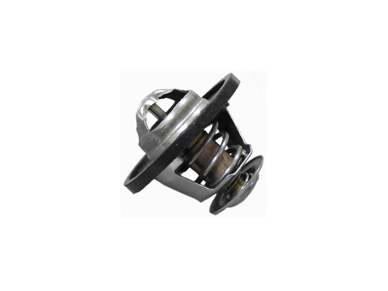 Termostat Master 2.4 2.5D 2.8TD