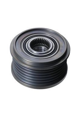 Alternatör Kasnağı (rulmanli 6 Kanal) Clio Ii - Iii Megane 1.5 DCI Duster Logan Sandero 1.6 16V Micra