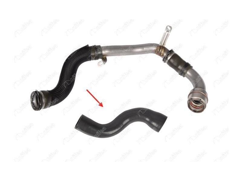 Turbo Hortumu Uzun (metal Boru Haric) Mgn Iii - Flue