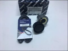 5PK1200 Alternatör Kayış Seti Clio Ii Megane Ii 1.4 1.6 16V 1.5DCI