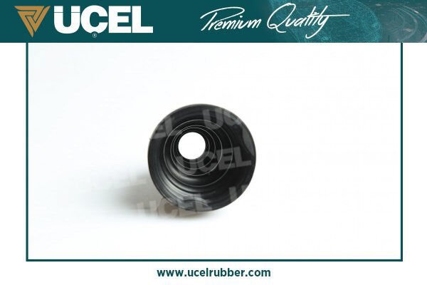 Aks Korugu Dis Sağ Fluence Clio I Iii Megane Iii Scenic Iii Tum Seri Twingo