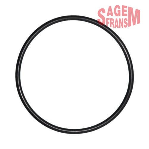 Samandira Kapak Oring Megane Laguna Doblo