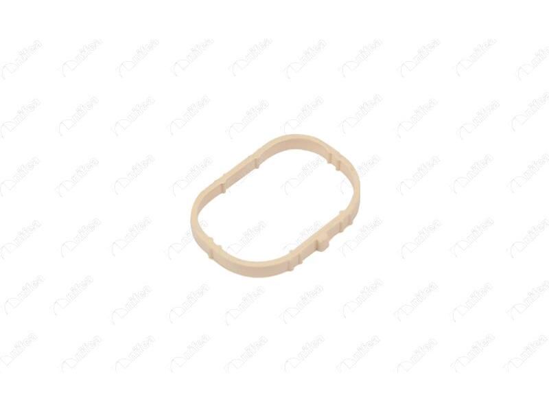 Emme Manifold Contasi Clio Iii 1.6 16V Gt (09 - 15)